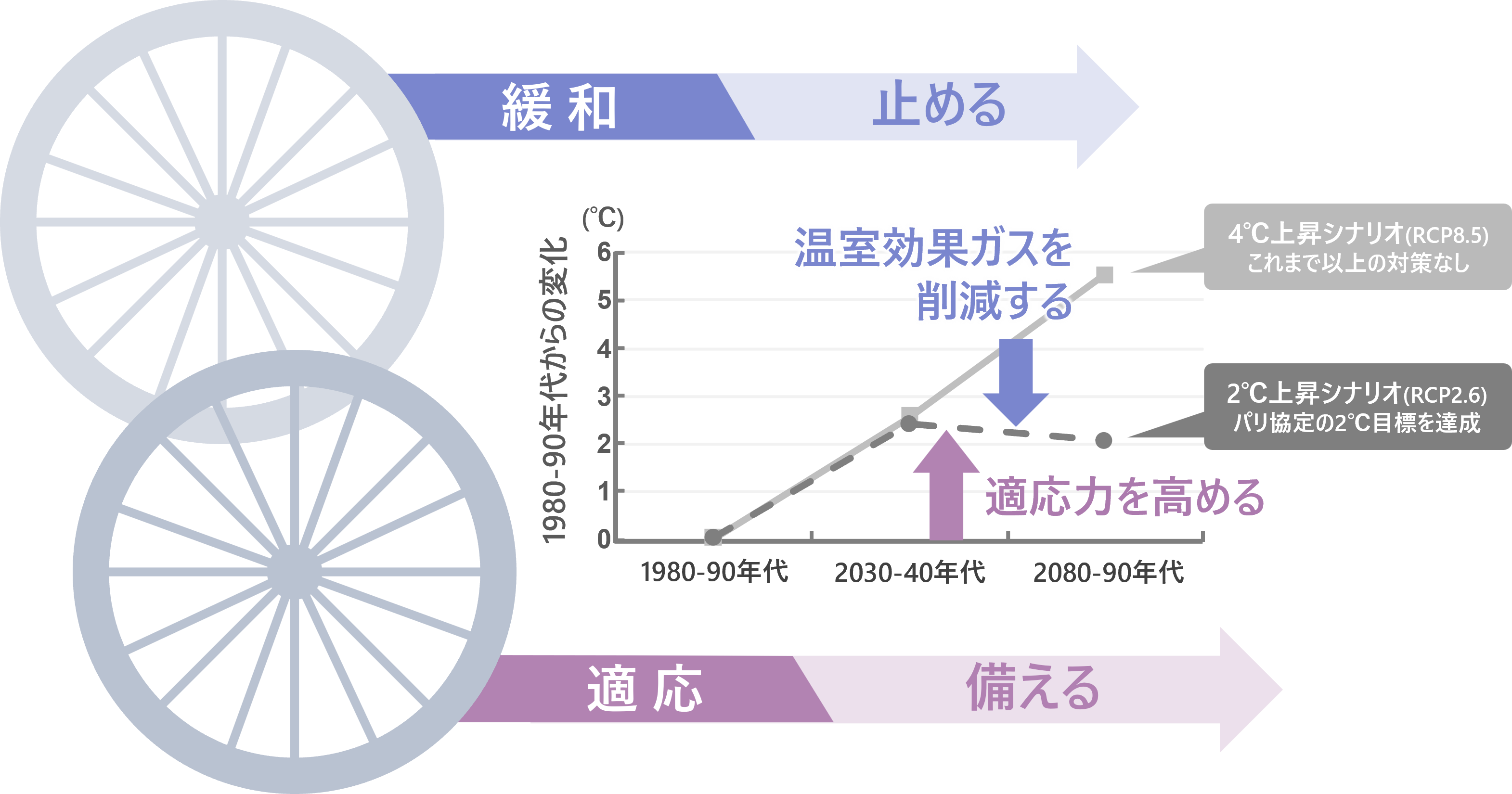 地域の適応を考える