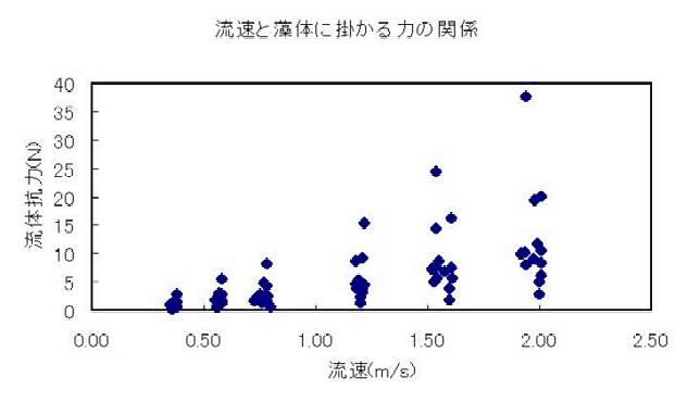 実験の結果図