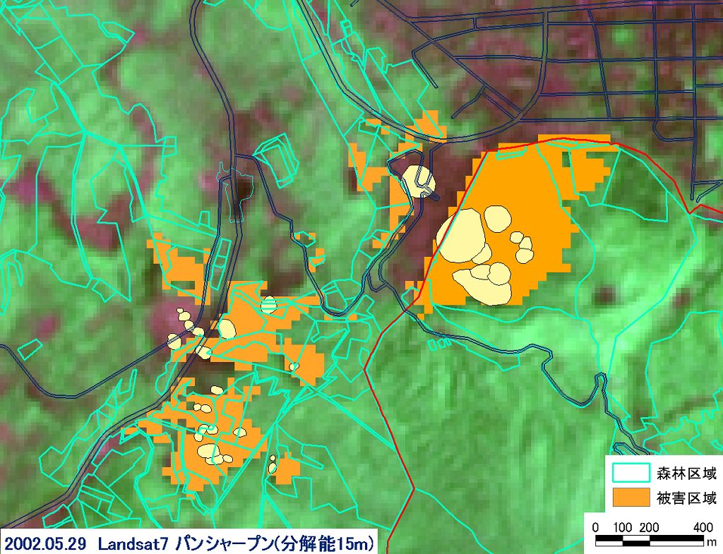 2001年の森林被害区分図