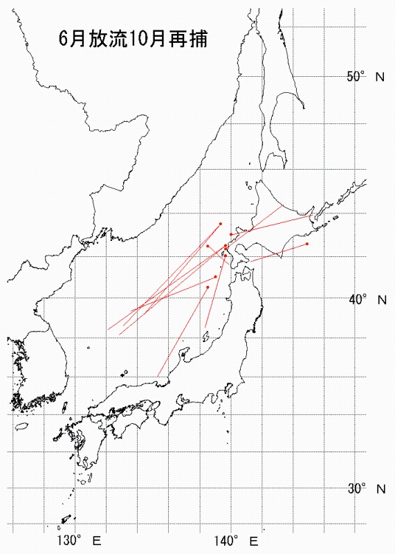 放流再捕図