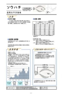 記載内容例