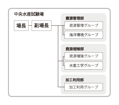 組織図