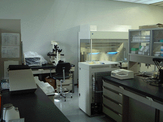 微生物実験室写真