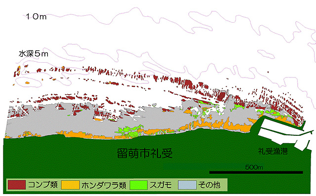 留萌地区藻場分布図B