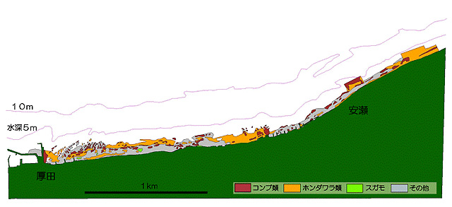 石狩地区藻場分布図A