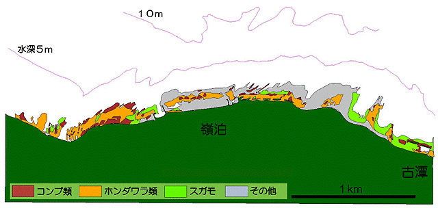 石狩地区藻場分布図C