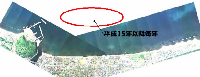 余市地区ニシン産卵床1（余市町大川町）