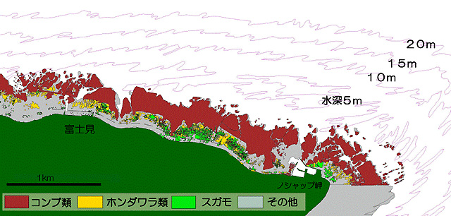 稚内地区藻場分布図A