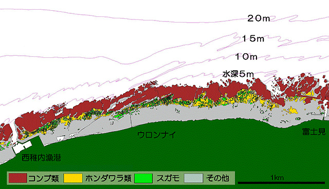 稚内地区藻場分布図B