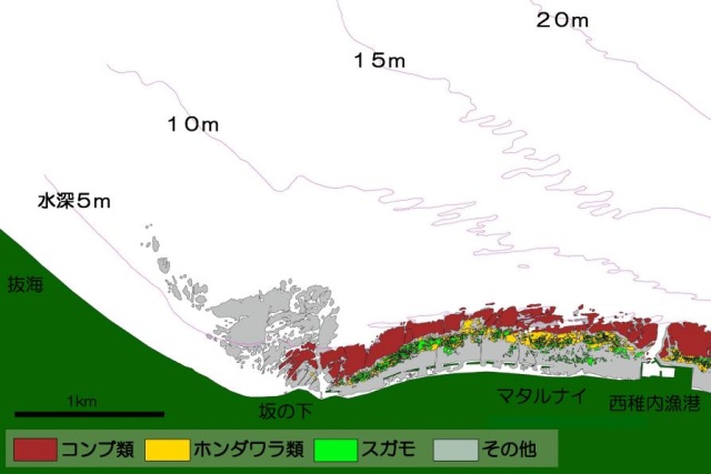 稚内地区藻場分布図B