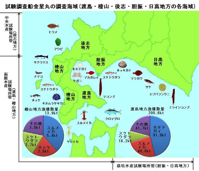 エリア図