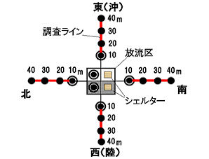 ナマコ放流調査区の図