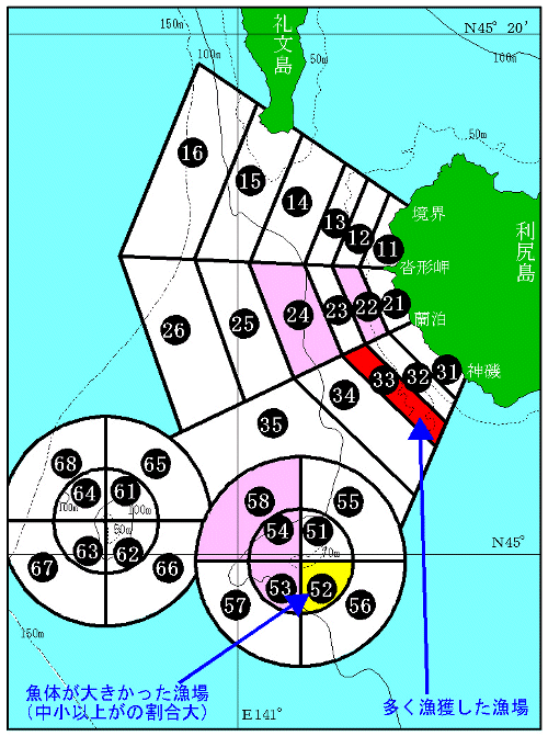 概略図