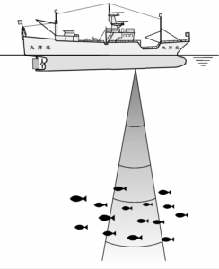 計量魚群探知機のしくみ