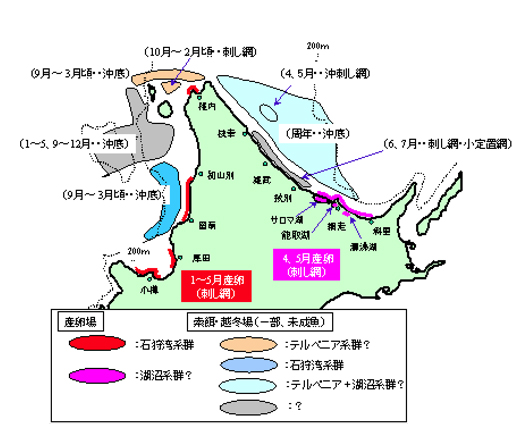 漁場と漁期