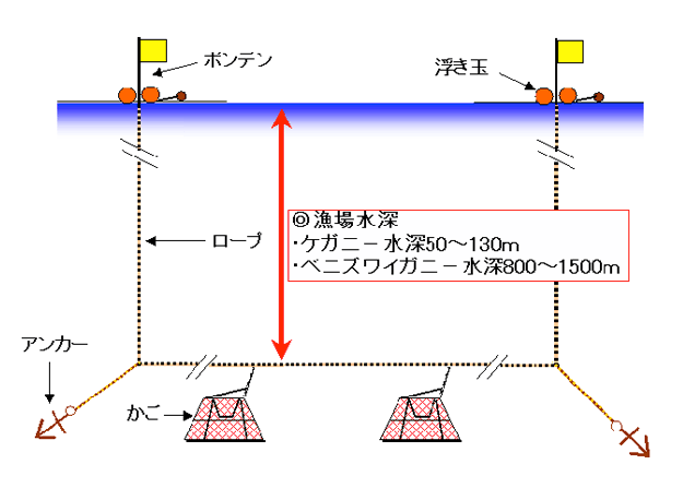 かご設置状況