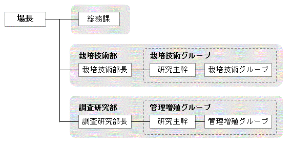 組織図