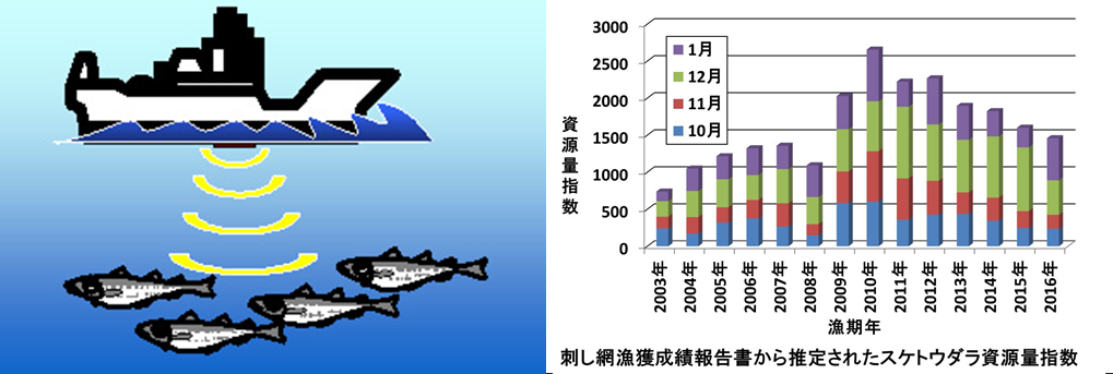 計量魚探調査