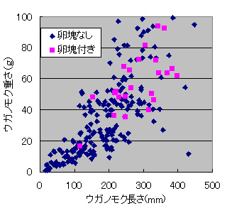 ハタハタ卵塊のある・なし別の、ウガノモクの長さと重量の関係の図