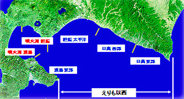 放流海域