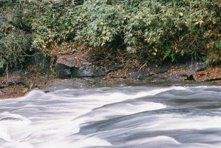 北海道の水が澄み渡る清き流れの川です