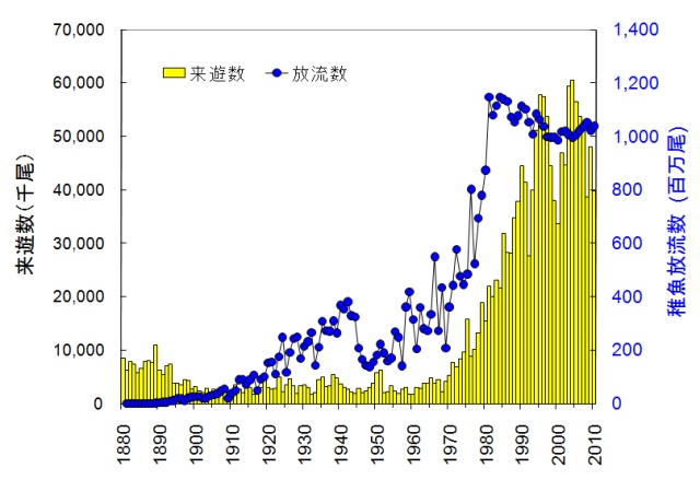 サケの放流数と来遊尾数のグラフ