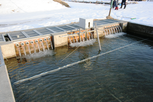 養魚池の清掃風景の写真です