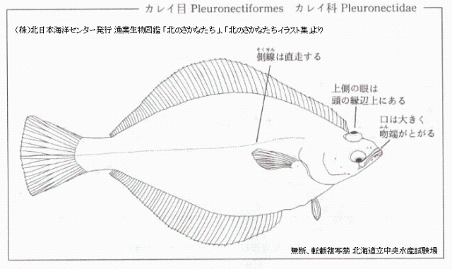 ソウハチ