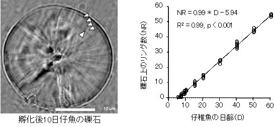 図