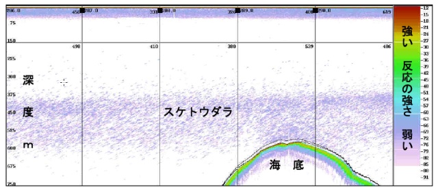 スケトウダラの魚探反応の例