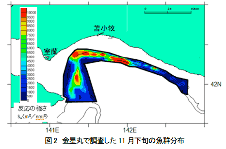 図2　金星丸で調査した11月下旬の魚群分布