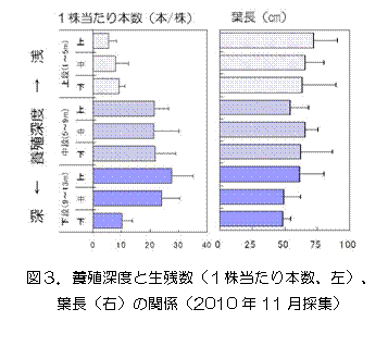 図3