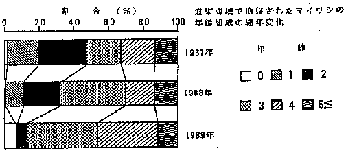 漁獲されたマイワシを年齢別に示した図