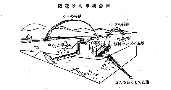 磯焼け対策概念図