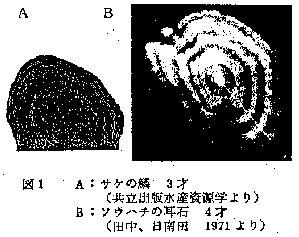 図1