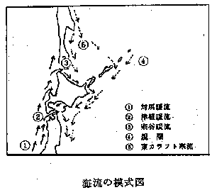 海流の模式図