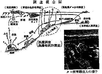 調査概念図