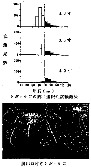 ケガニかごの網目選択性試験結果と脱出口付きケガニかご