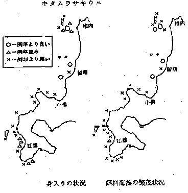 キタムラサキウニの「身入り」の状況と「餌料海藻の繁茂状況」