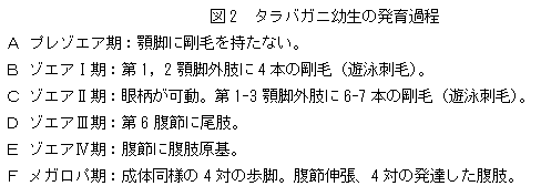 図2説明