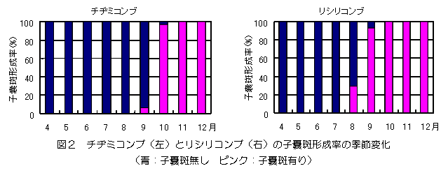 図2