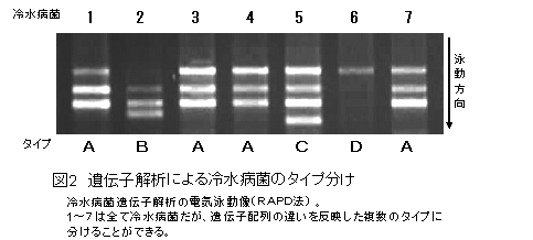 図2