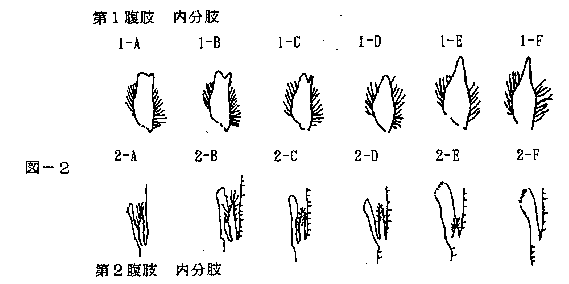 図2