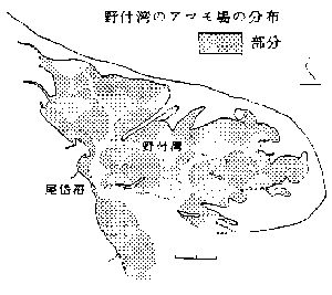 野付湾のアマモ場の分布