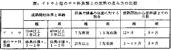 北海道で漁獲される主要なエビ