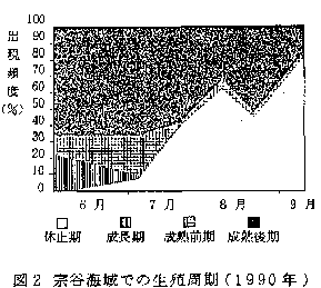 図2