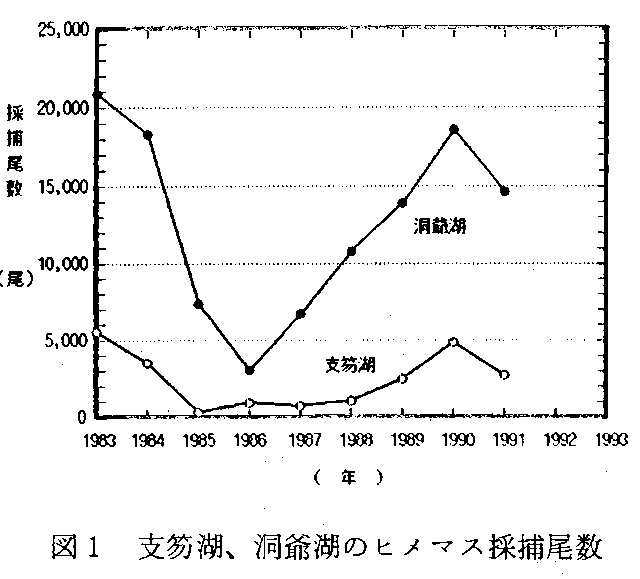 図1