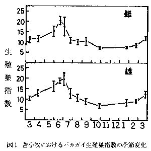 図1