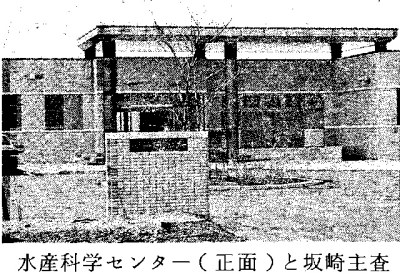 水産科学センターと坂崎主査