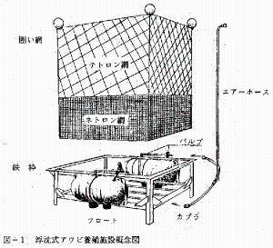 図1　浮沈式アワビ養殖施設概念図